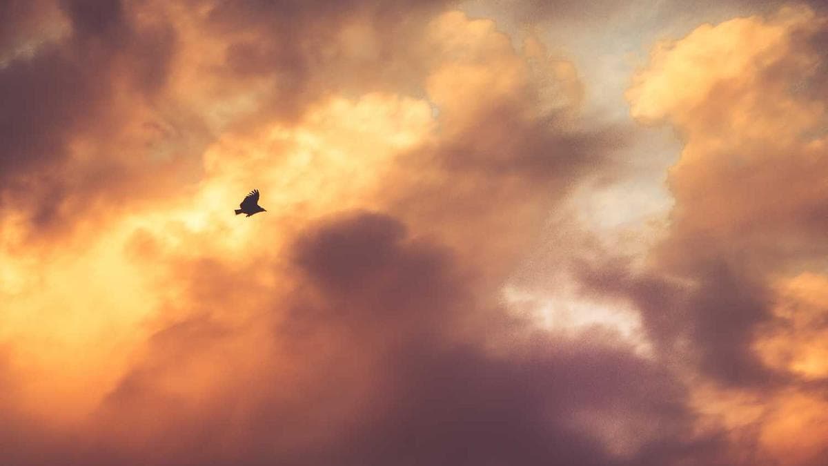 AI-Compli product demo