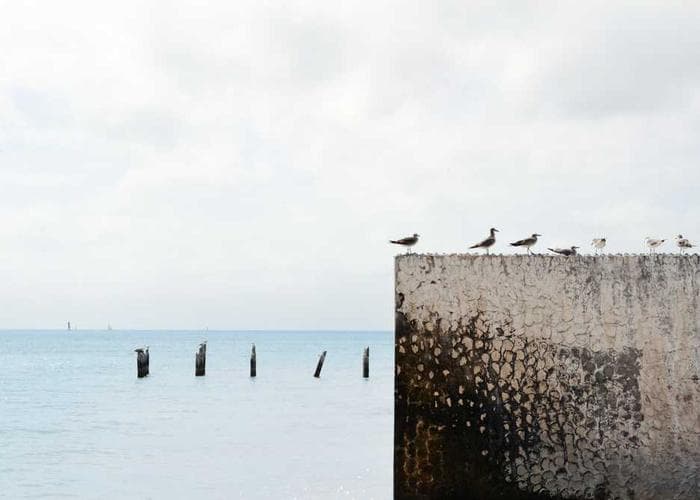 Business continuity monitoring dashboard