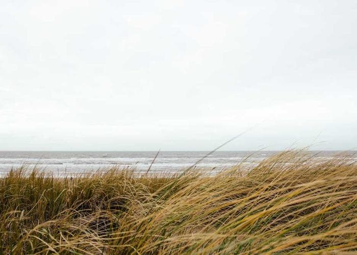 Ethical AI development