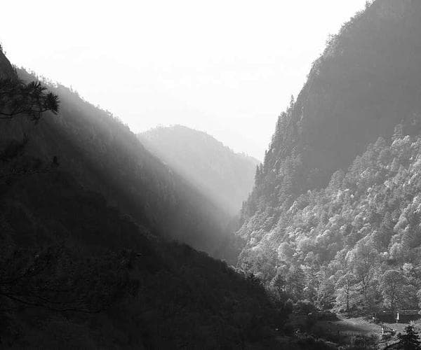 School software and education