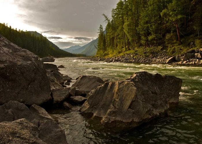 Small business using StrategiHub solutions